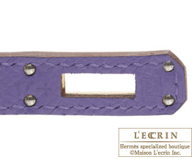 Hermes　Birkin bag 25　Iris　Epsom leather　Silver hardware
