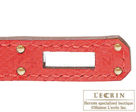 Hermes　Birkin bag 25　Bougainvillier　Epsom leather　Gold hardware