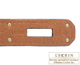 Hermes　Birkin bag 30　Ultraviolet/Etain/Blue lin　Clemence leather　Silver hardware