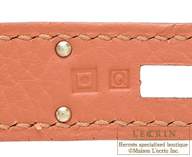Hermes　Birkin bag 35　Rose tea　Clemence leather　Silver hardware