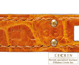 Hermes　Birkin bag 25　Pain d' epice　Niloticus crocodile skin　Gold hardware