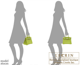 Hermes Limited Edition Birkin 25 Bag in Vert Anis Lizard with