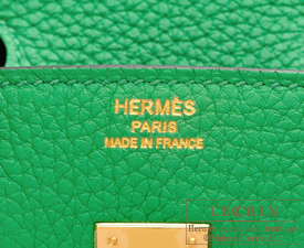 Hermès Birkin 25 Bambou (Bamboo) Green Togo with Gold Hardware