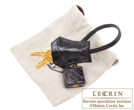 Hermes　Birkin bag 25　Prunoir　Niloticus crocodile skin　Gold hardware